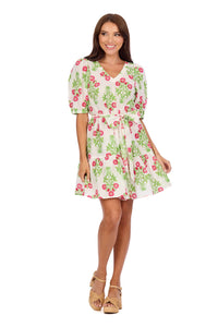 Audra V-Neck Dress