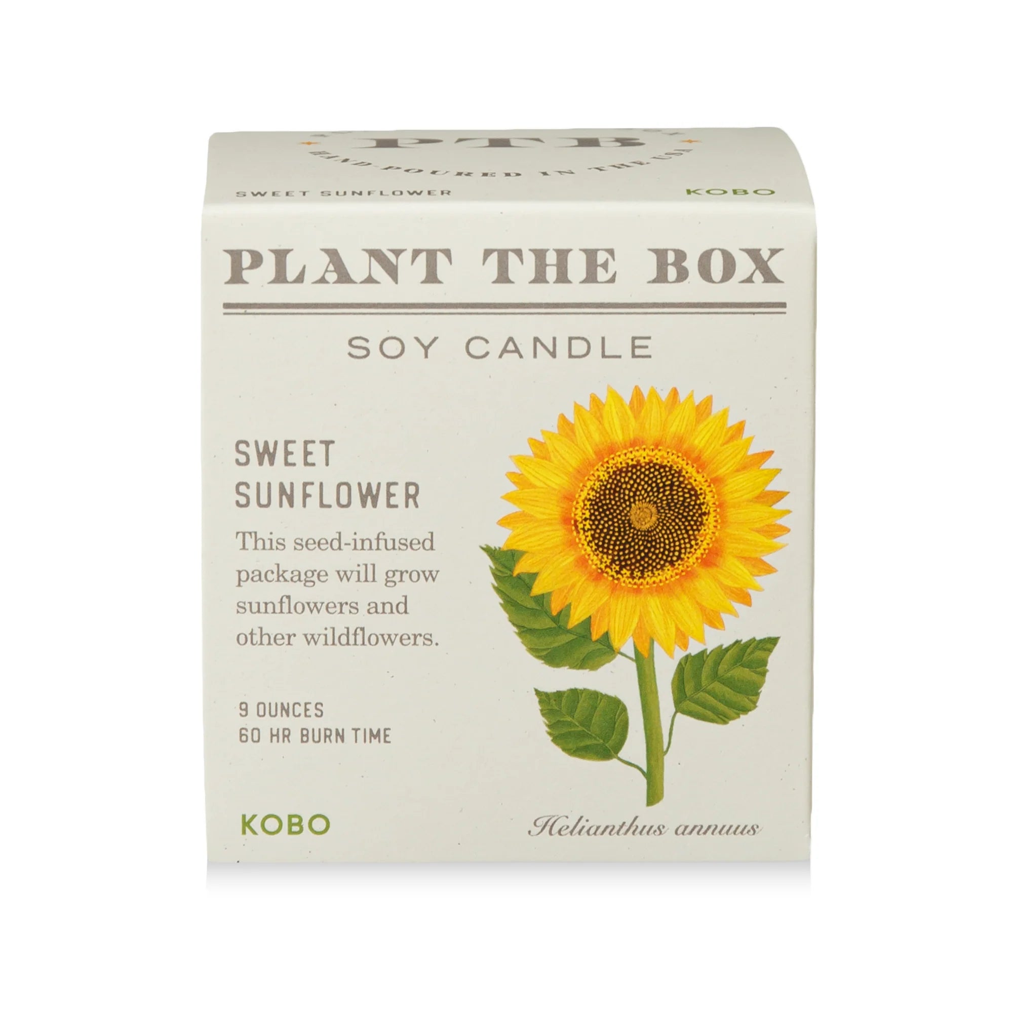 Sweet Sunflower Plant The Box Candle