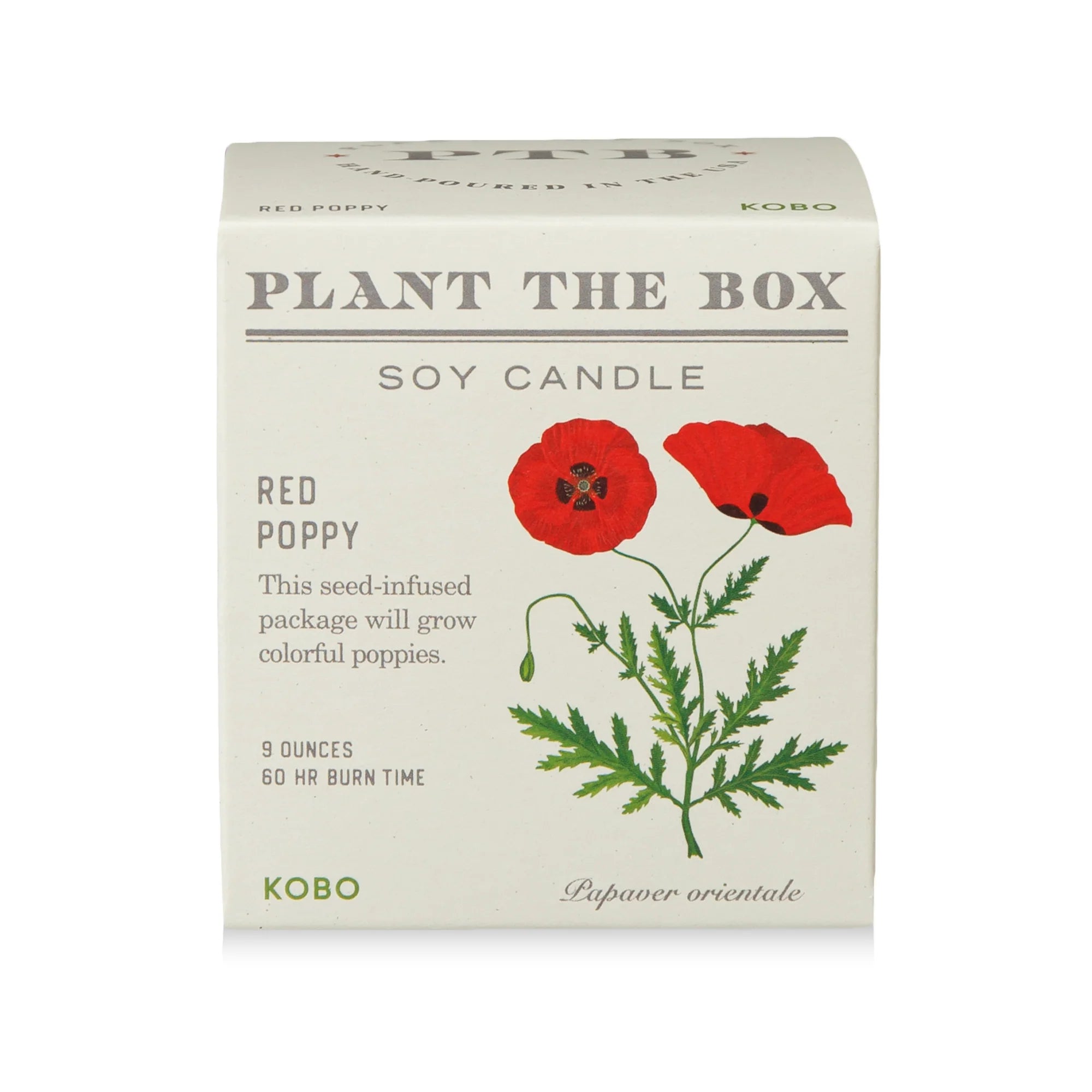 Red Poppy Plant The Box Candle
