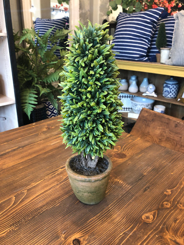 Topiary in Clay Pot